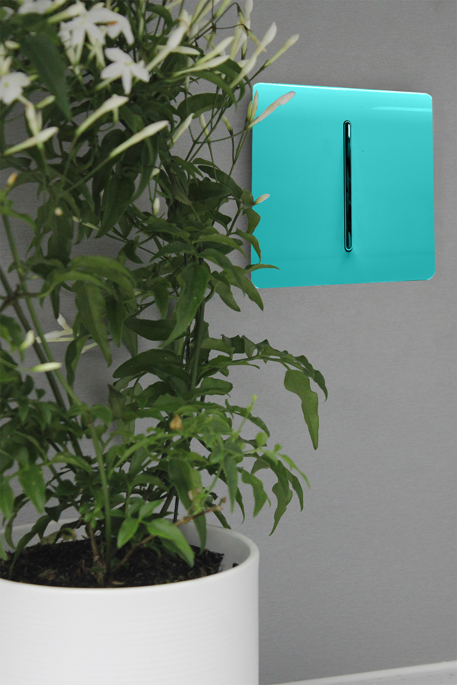 Bright Teal Wiring Accessories Trendi Decorative Screwless Bright Teal Wiring Accessories Trendi Decorative Screwless